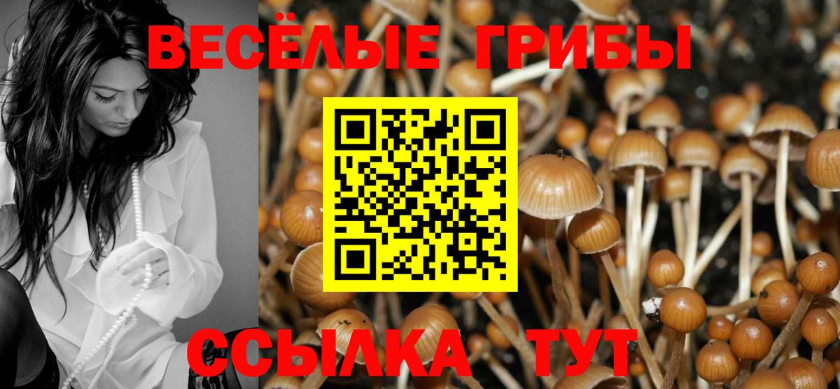 Углич  даркнет сайт  Вход с VPN  Псилоцибиновые грибы Psilocybine cubensis 